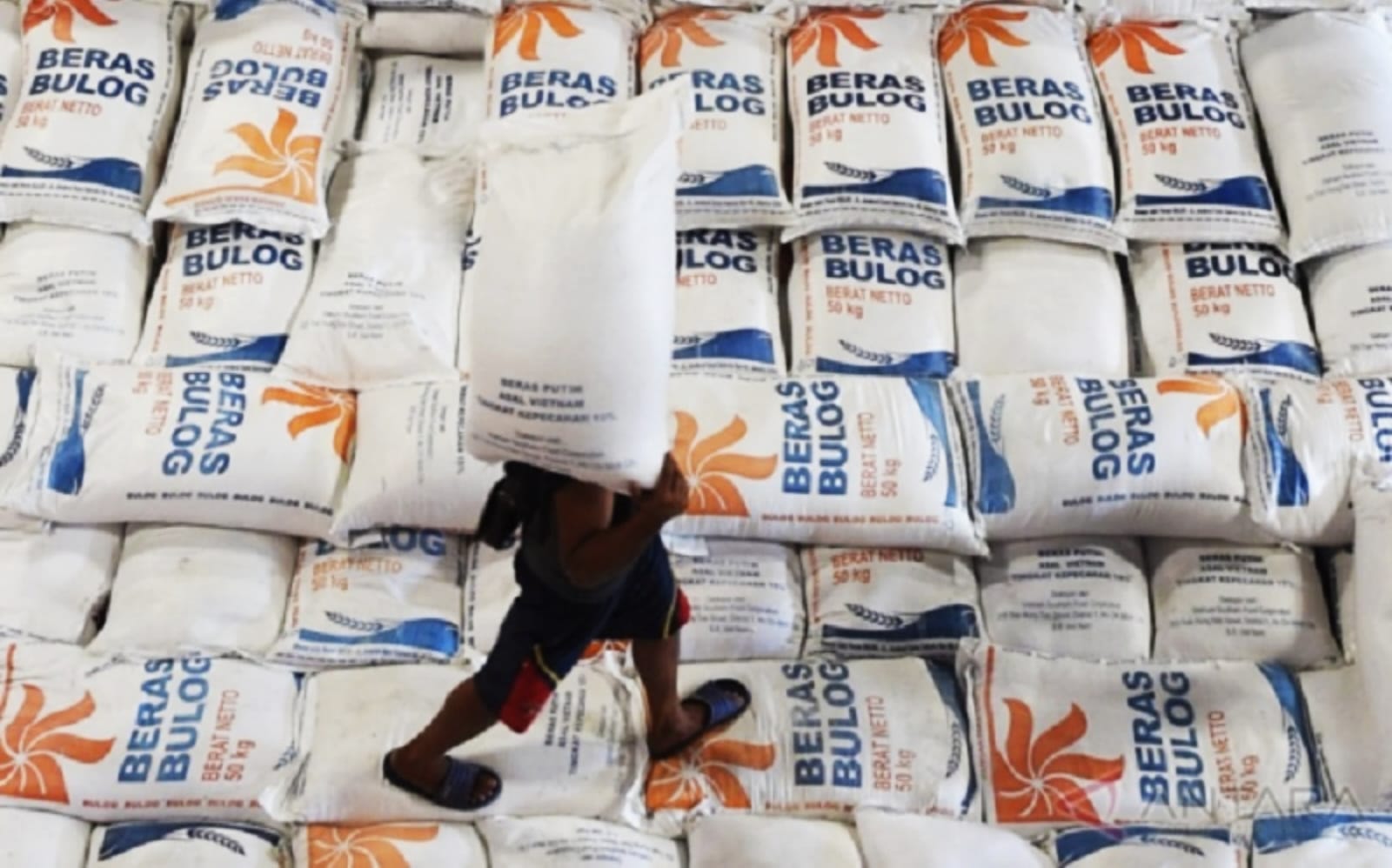Stabilkan Harga Beras, Bulog Siaga Bagian dari SPHP Diluncurkan