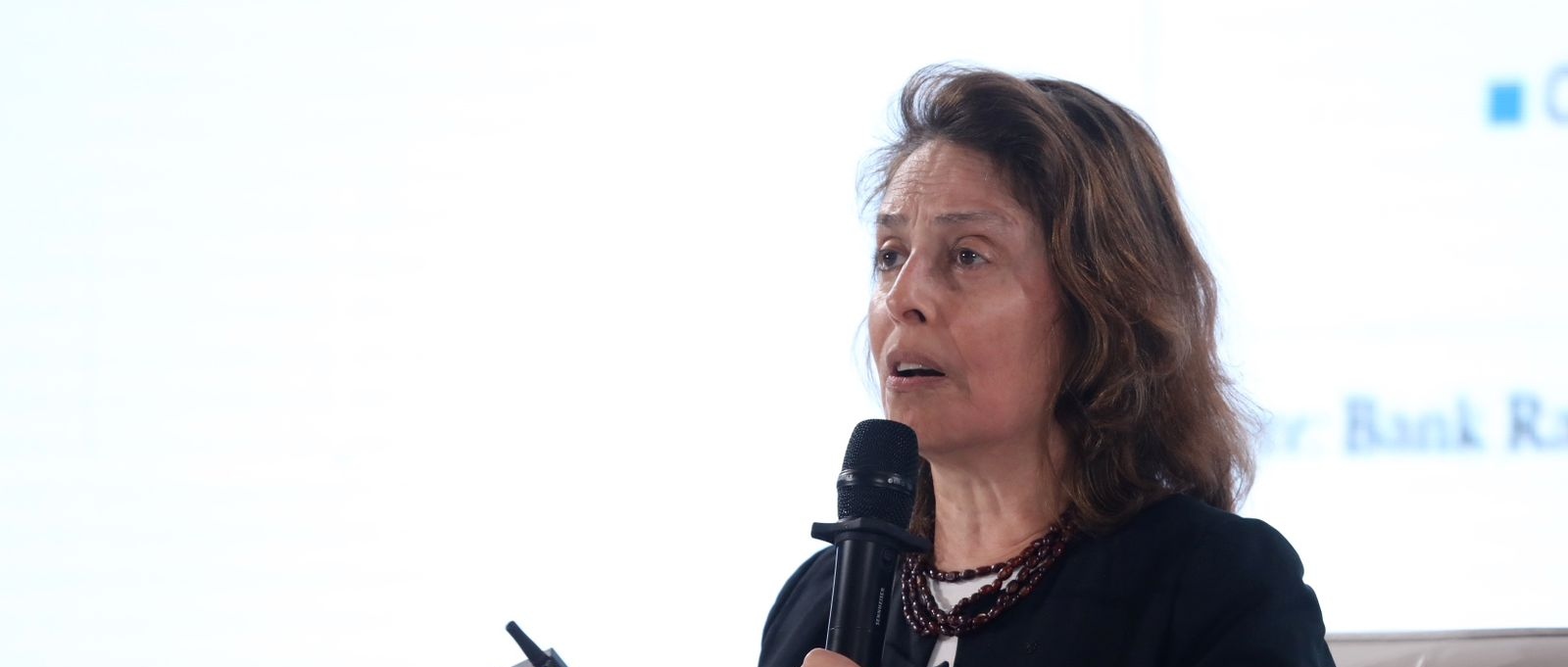 Research Affiliate at Harvard University Beatriz Armendariz. dok. BRI. Peneliti Harvard University Ungkap Peran BRI Dorong Inklusi Keuangan