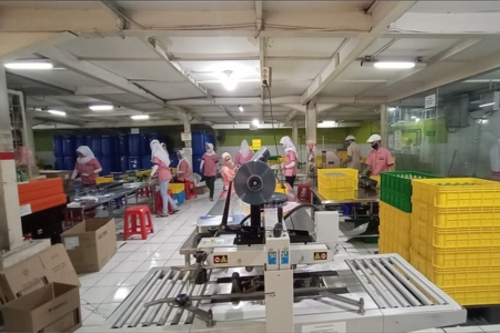 Laba dan Pendapatan Estee Gold (EURO) 2023 Merosot, Intip Detailnya