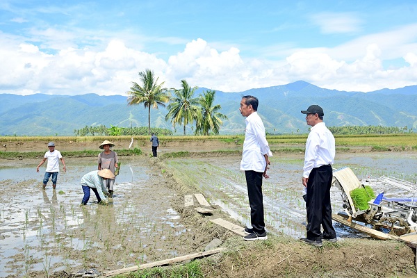 Mantan Mentan: Indonesia Perlu Menko Pangan dan Agribisnis