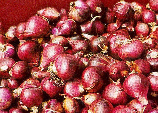 Catat! Pemerintah Pastikan tidak akan Buka Opsi Impor Bawang Merah