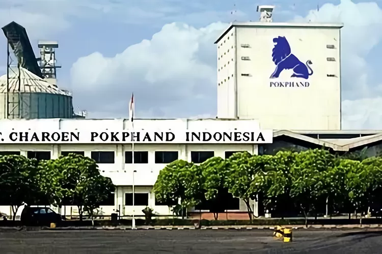 Tumbuh 195 Persen, Laba Charoen (CPIN) Maret 2024 Sentuh Rp711 Miliar