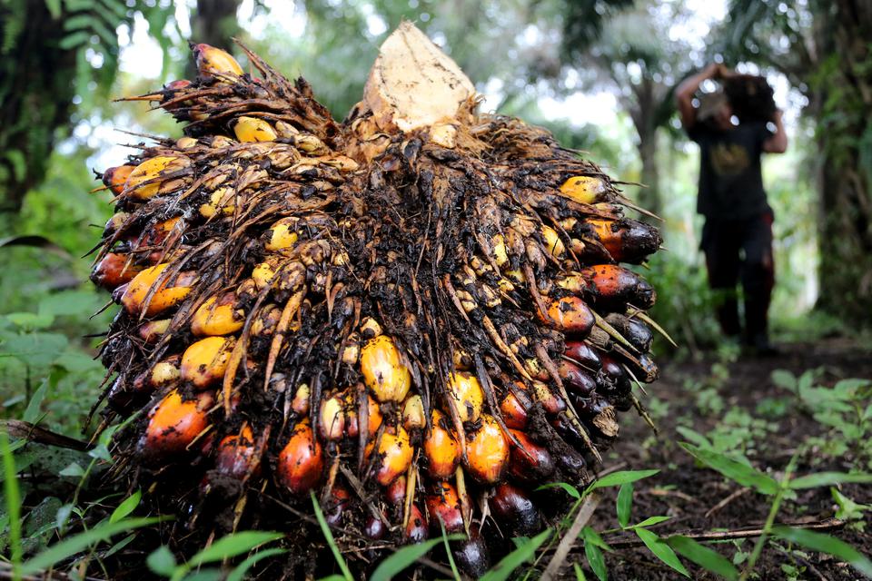 Rugi Bengkak 206 Persen, UNSP Maret 2024 Defisit Rp14,35 Triliun