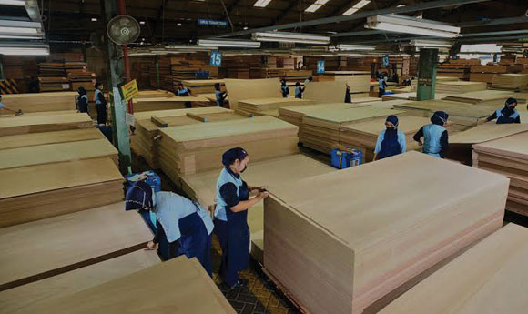 Catat! Ini Jadwal Dividen Indonesia Fibreboard (IFII) Rp47,06 Miliar