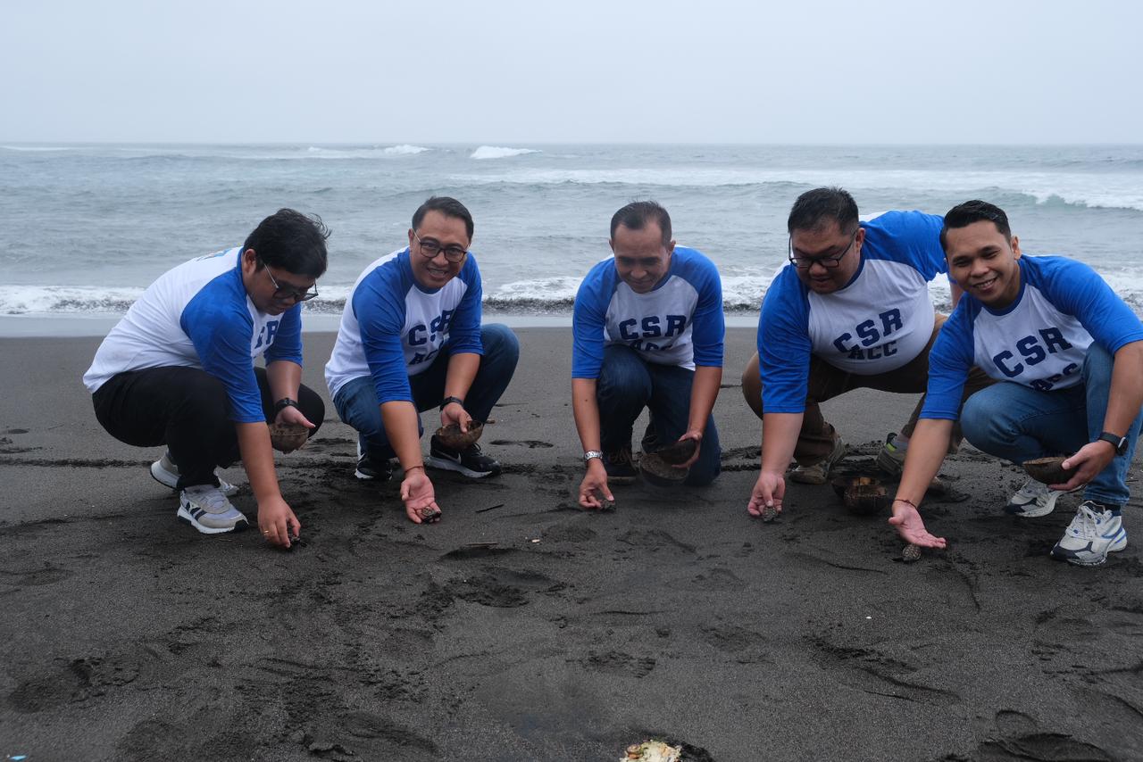 Kiri-Kanan: ARManagement Head ACC Renon Dedi Hasiholan, Branch Manager ACC Denpasar Ary Wiadnyana, AR Management Head ACC Denpasar Wisnu Agung, Customer Retention & Service Head ACC Denpasar Eka Candra dan Customer Retention & Service Head ACC Abdullah Aziz saat melepas tukik di Pantai Saba Asri, Gianyar, Bali, 7 Juni 2024. dok ACC Dukung Konservasi Penyu di Bali, ACC Berikan Sarana Edukasi
