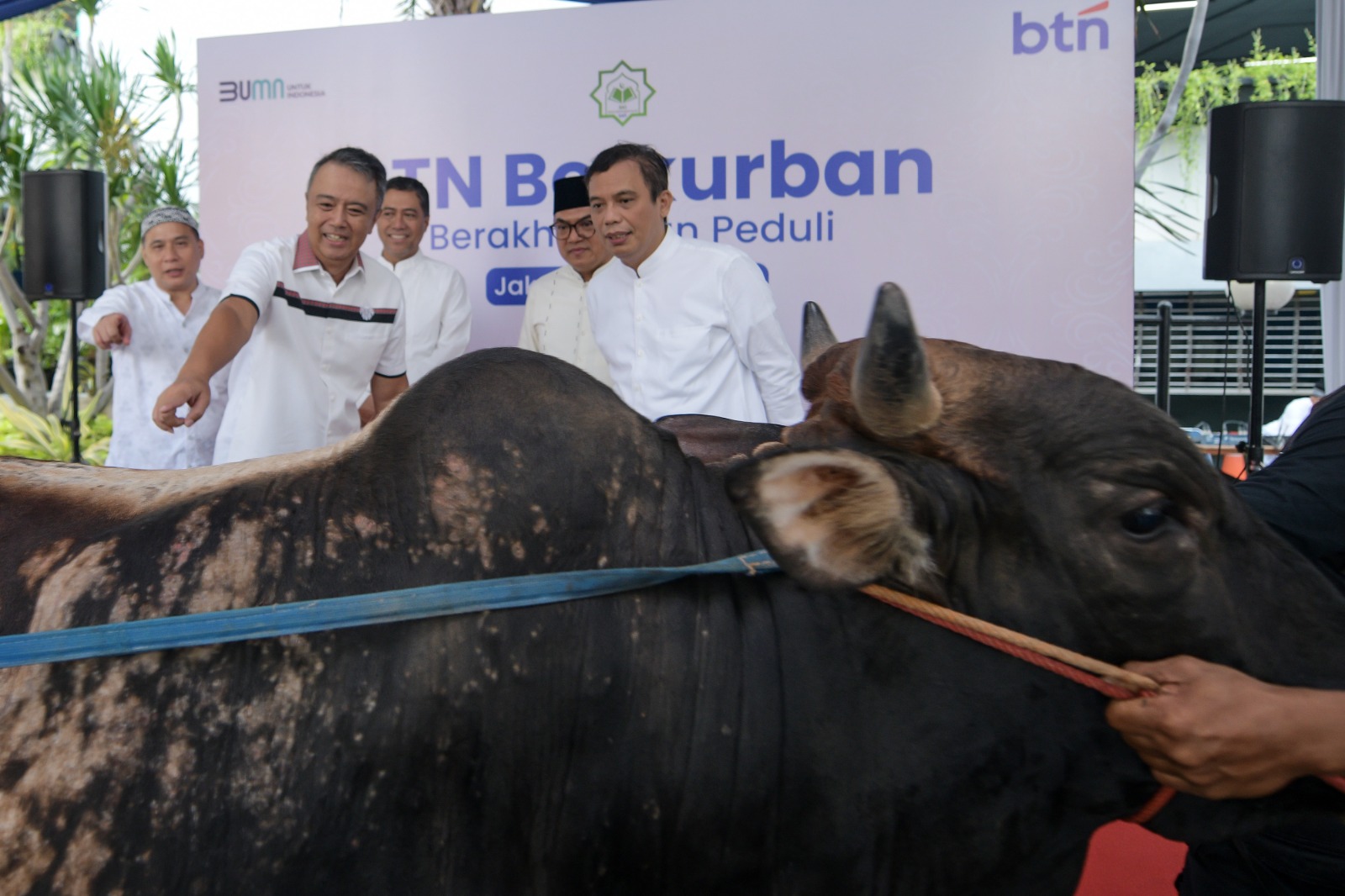 Direktur Utama BTN Nixon LP Napitupulu bersama Wadirut BTN Oni Febriarto Raharadjo, Direktur Consumer BTN Hirwandi Gafar dan Direktur Human Capital, Compliance & Legal BTN Eko Waluyo menyerahkan secara simbolis hewan kurban kepada Ketua Seksi Kerohanian Islam (SKI) BTN Fathoni Hudori usai pelaksanaan Sholat Idul Adha di Menara BTN Jakarta, Senin (17/6).(Foto:Endang Muchtar). BTN Tebar 460 Ekor Hewan Kurban