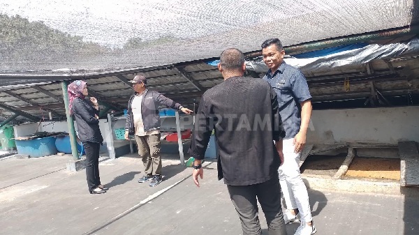 82 Persen Limbah Hotel Berhasil Dikelola Mandiri oleh Patra Jasa