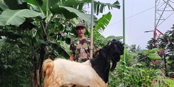 Sukateno mengawali usaha Tri Mandiri Farm dengan bermodalkan pinjaman Kredit Usaha Rakyat (KUR) dari PT Bank Rakyat Indonesia (Persero) Tbk. (BBRI), atau BRI. Hingga kini usahanya sudah berjalan selama sembilan tahun. dok. BRI. Tri Mandiri Farm Sukses Majukan Usaha Berkat Pemberdayaan BRI (BBRI)