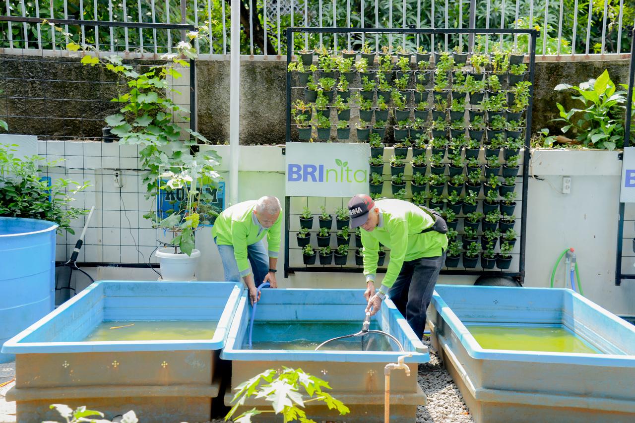 Berkat inisiatif warga yang tergabung dalam Kelompok Tani (Poktan) Dahlia 07 serta dukungan program BRINita (BRI Bertani di Kota) dari PT Bank Rakyat Indonesia (Persero) Tbk. (BBRI), kawasan tersebut kini jadi lebih asri dan produktif. Karena, menghasilkan berbagai macam sayuran dan tanaman obat serta meningkatkan perekonomian warganya. dok. BRI. Didukung BRINita, Poktan Ini Sulap Lahan Terbengkalai Jadi Produktif