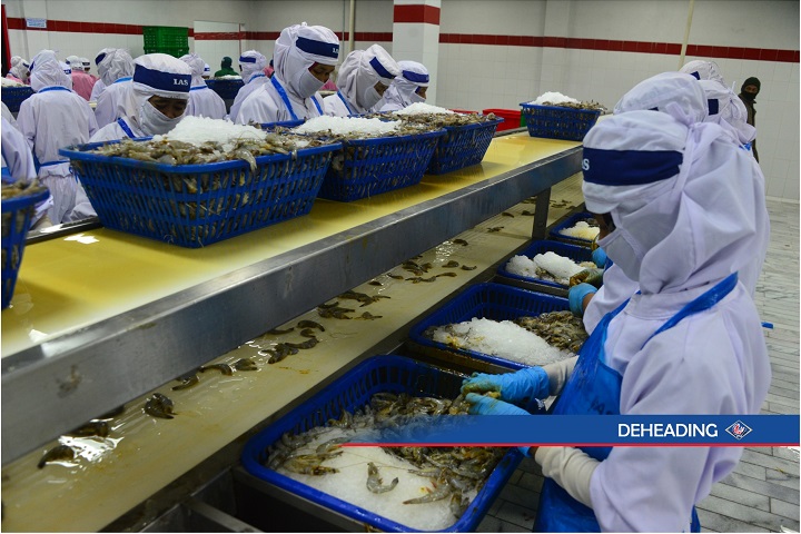 Laba 2023 Rp1,7M, Indo American (ISEA) Patok IPO Harga Atas, Minat?