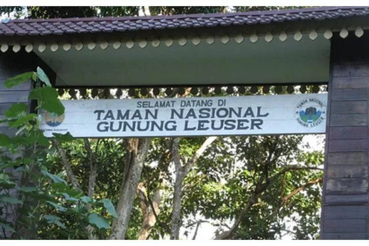 Cegah Biodiversitas Dicuri Peneliti Asing, KLHK Gandeng Polri!