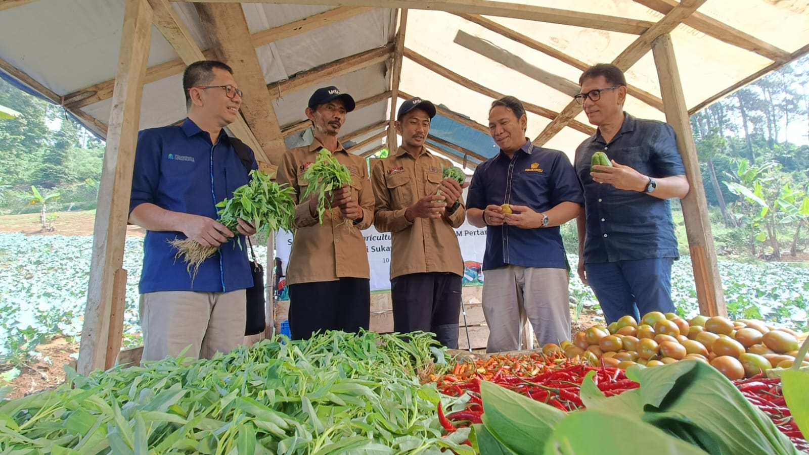 Penyerahan sertifikat Good Agriculture Practices (GAP) kepada petani binaan Astra melalui Yayasan Dharma Bhakti Astra (YDBA) dan Pusat Investasi Pemerintah (PIP) di Sukawangi Bogor oleh Pewakilan Dinas Tanaman Pangan dan Hortikultura Provinsi Jawa Barat, Siti Solihat (kedua kiri) serta Kepala Bidang Pelindungan dan Pelayanan Usaha Dinas Tanaman Pangan Hortikultura dan Perkebunan Kabupaten Bogor, Judi Rahmat (kedua kanan) disaksikan oleh Ketua Pengurus YDBA, Rahmat Samulo (kanan) dan Direktur PIP, Muhammad Yusuf (kiri), Rabu (10/7/2024). dok. Astra. Astra-PIP Dukung Sertifikasi GAP Bagi UMKM Binaan di Sukawangi Bogor