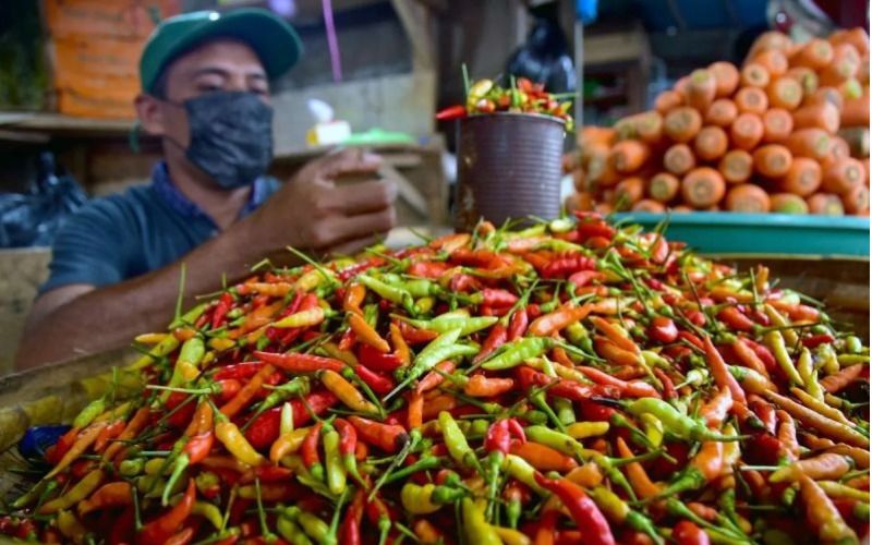 Harga Cabai Sepanjang Libur Lebaran 2025 Stabil