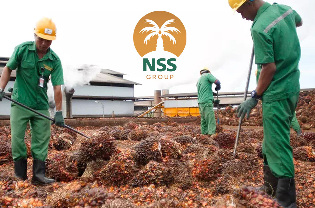 Meroket 2.725 Persen, NSSS Kuartal I-2025 Raup Laba Rp162 Miliar