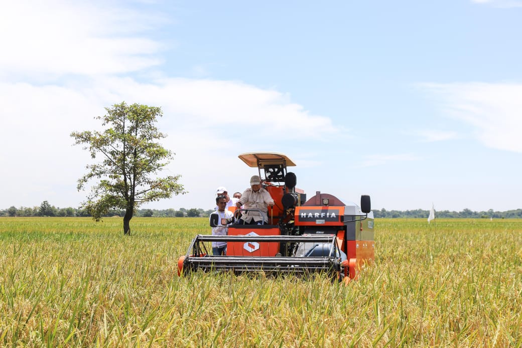 Berdasarkan laporan USDA Rice Outlook April 2025, produksi beras Indonesia diproyeksi menyentuh angka 34,6 juta ton, tumbuh 4,8 persen Produksi Beras RI Terbesar di ASEAN, Ungguli Vietnam dan Thailand