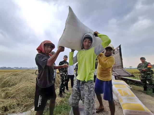 Hingga 10 Mei 2025, Perum Bulog telah menyerap 2.023.063 ton beras dari petani lokal. Ini angka tertinggi dalam sejarah serapan JanuariāMei selama 58 tahun berdirinya Bulog. Serapan Beras Bulog Tembus 2 Juta Ton, Rekor Tertinggi dalam 58 Tahun