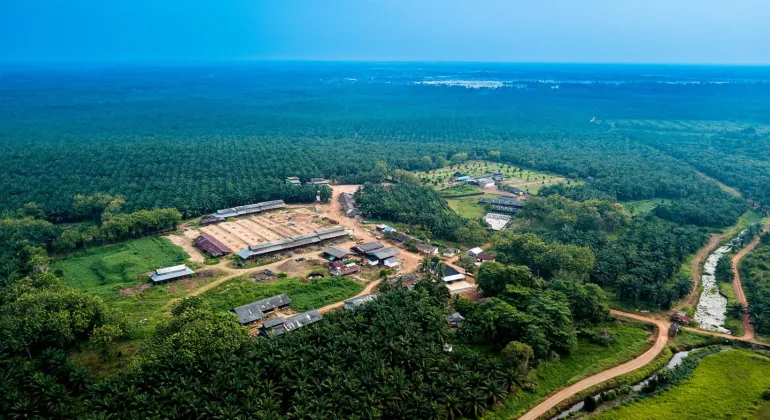 Salah satu pabrik crude Palm Oil besutan Pulau Subur. FOTO - ISTIMEWA Pulau Subur (PTPS) Tebar Dividen Rp3,8 per Helai, Intip Jadwalnya