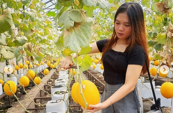 Industri Agro Serap 9,37 Juta Tenaga Kerja di 2024
