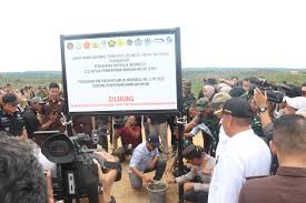 Ilustrasi salah satu area dengan perambahan hutan yang signifikan berada di Taman Nasional Tesso Nilo (TNTN), Kabupaten Pelalawan. Dok. Utusanriau.co. Data Satgas PKH, Alih Fungsi Hutan Jadi Lahan Sawit Terluas di Riau