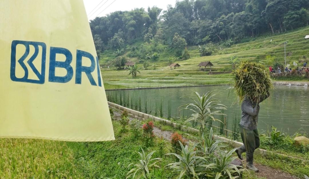 Bank BRI melaporkan penyaluran kredit usaha rakyat (KUR) telah mencapai Rp83,88 triliun hingga akhir triwulan II 2025, yang sebagian besar ke sektor pertanian, peternakan.(Foto: BRI) KUR BRI Telah Terkucur Rp83,88 Triliun, Mayoritas ke Sektor Pertanian