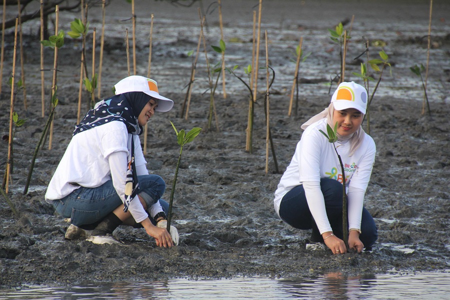PT Bank Negara Indonesia (Persero) Tbk atau BNI terus memperkuat komitmennya terhadap pelestarian lingkungan dan mitigasi perubahan iklim melalui aksi nyata konservasi hutan mangrove, sejalan dengan semangat global memperingati Hari Mangrove Sedunia yang jatuh setiap 26 Juli. BNI Sulap Hutan Mangrove Jadi Motor Ekonomi Hijau