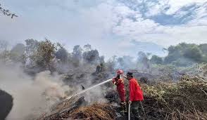 Riau Tanggap Darurat Karhutla, Terdapat 51 Tersangka Kebakaran