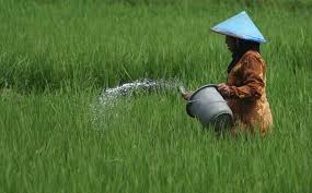 Skema Titik Serah, Pupuk Subsidi Dijamin Sampai ke Tangan Petani