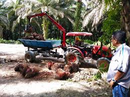 IEU-CEPA Disepakati, Prospek Sawit Indonesia Cerah di Pasar Eropa
