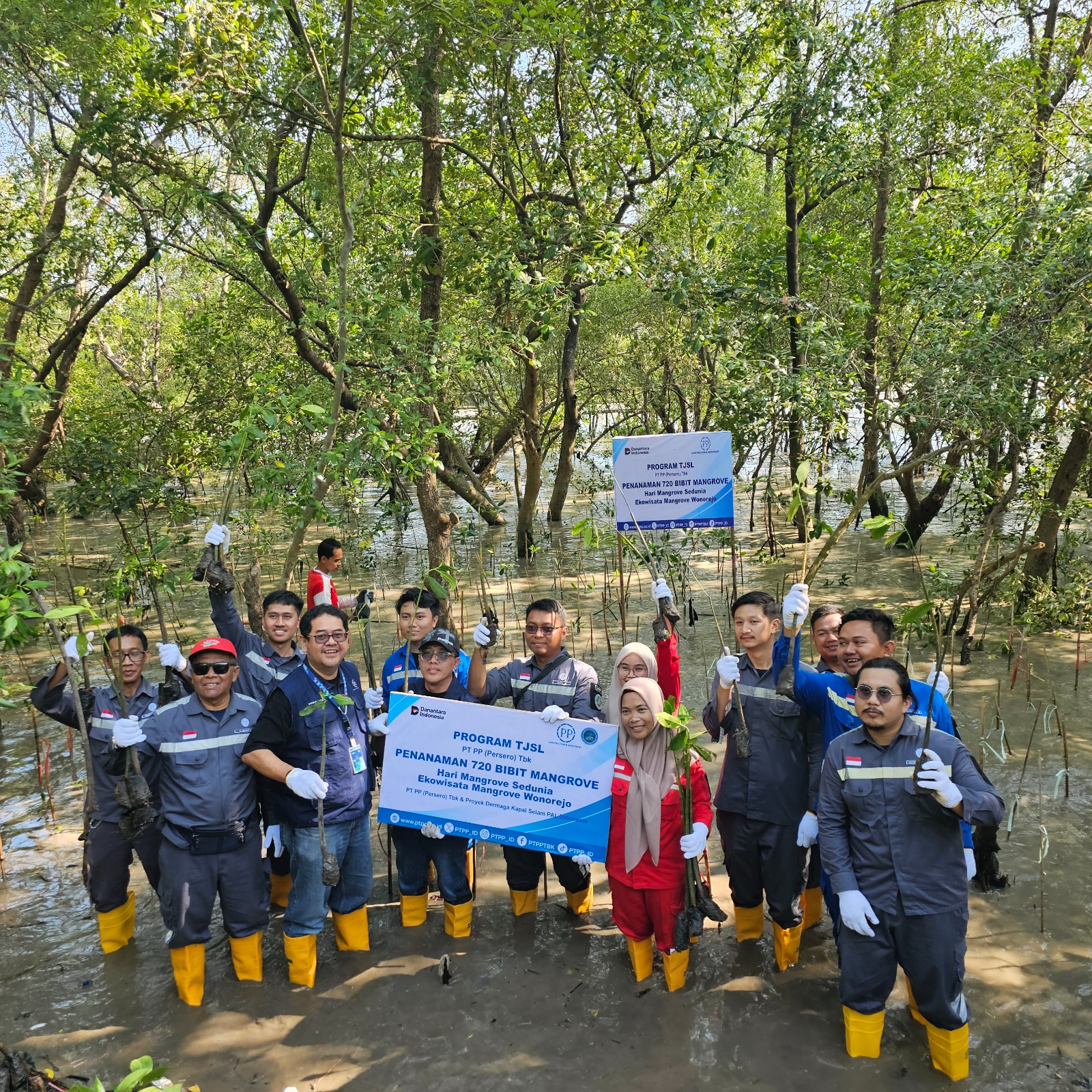 PTPP Tanam 720 Bibit Mangrove di Surabaya, Peringati Hari Mangrove Sedunia dan HUT PTPP ke-72. DOK/ISTIMEWA Peringati 2 Hari Penting, PTPP Tanam 720 Bibit Mangrove di Surabaya