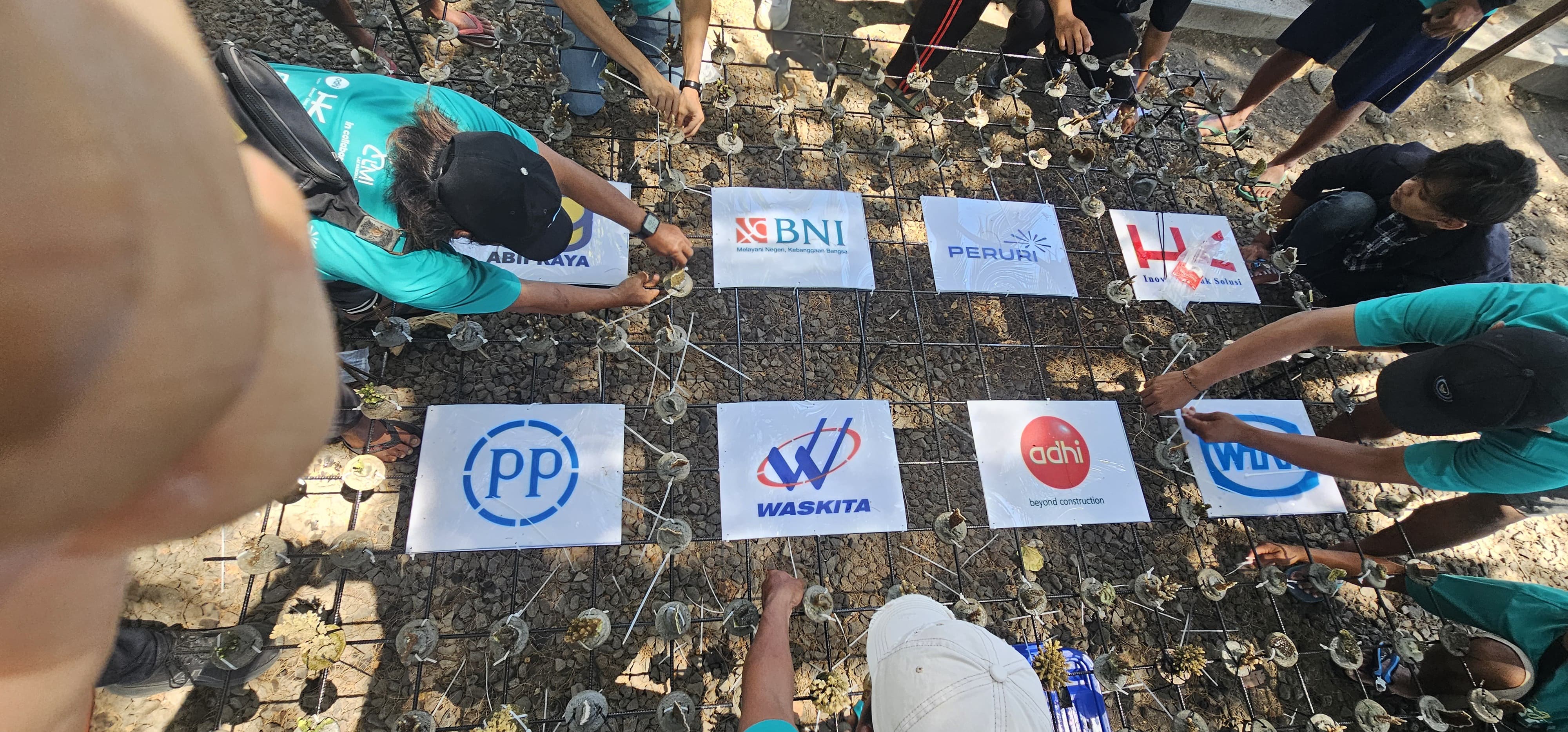 PTPP dan 7 BUMN Lain Dukung SDGs dengan Lestarikan Ekosistem Laut