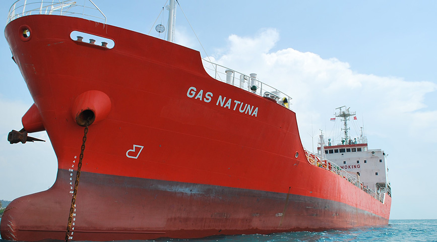 Armada kapal Buana Lintas Lautan. FOTO - ISTIMEWA Izin Investor, BULL Private Placement USD11,6 Juta