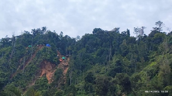 Tambang Ilegal Ditertibkan, 321 Hektare Lahan Kembali Dikuasai Negara