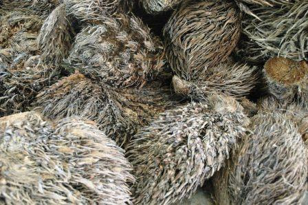 Kemenperin Kembangkan Bioethanol Berbahan Baku Limbah Sawit