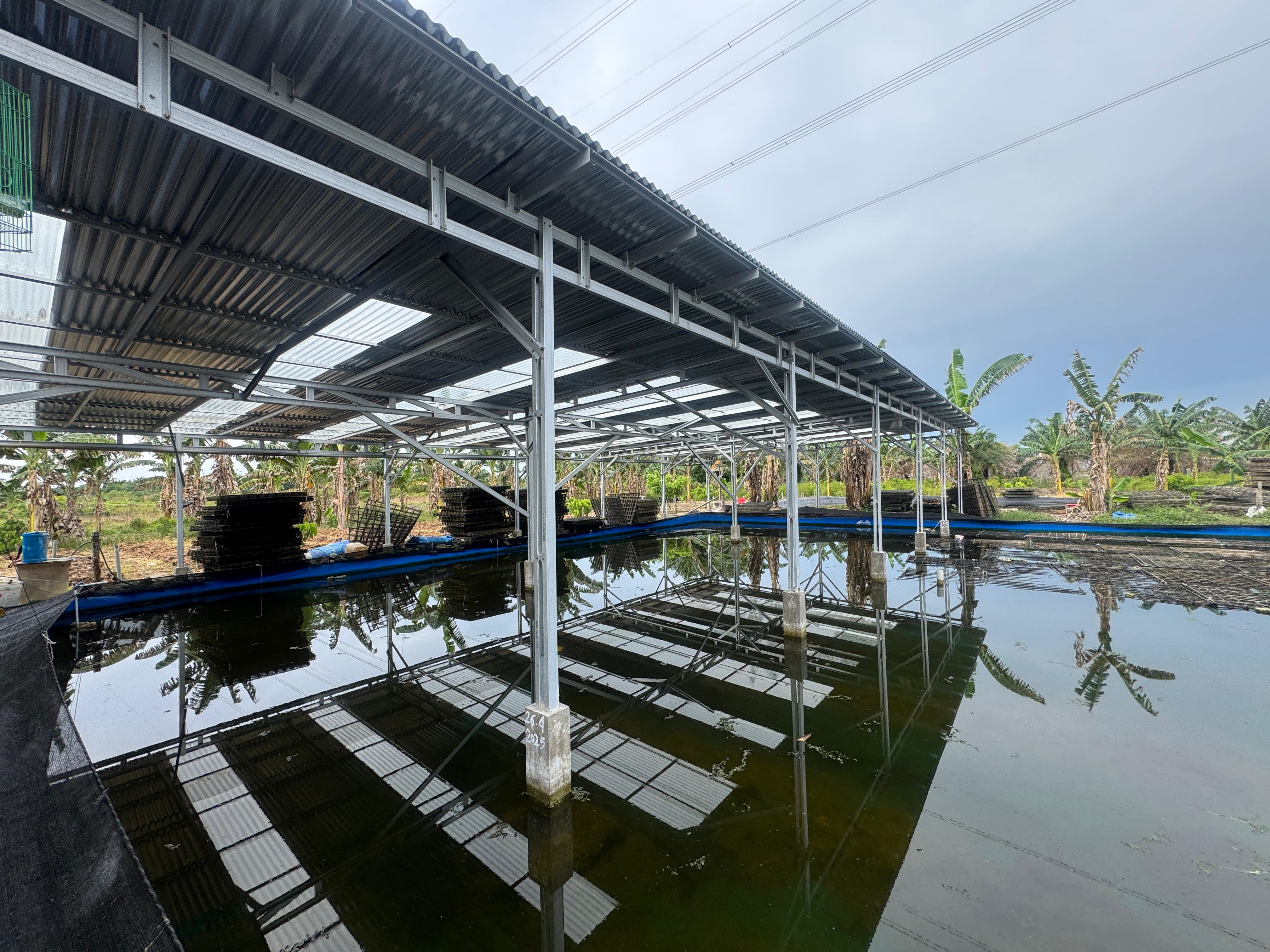 BUMN Holding Industri Pertambangan Indonesia, MIND ID, terus mempertegas perannya sebagai strategic active holding yang menciptakan nilai tambah dari sektor pertambangan, sekaligus mampu membangun kemandirian ekonomi masyarakat di daerah. UMK Binaan MIND ID Naik Kelas, Omzet Tembus Pasar Global