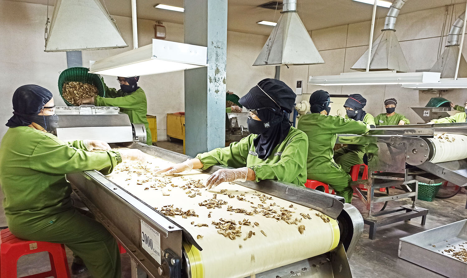 Suasana kerja bagian produksi pabrik Sido Muncul. FOTO - ISTIMEWA Lanjut! Sido Muncul (SIDO) Buyback Rp56 Miliar