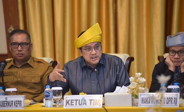 Dede Yusuf Soroti Ketimpangan di Free Trade Zone Kepri