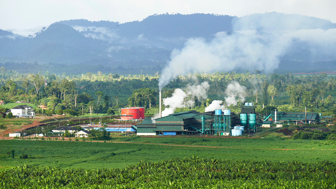 Transaksi Beres, First Resources Resmi Kendalikan Austindo (ANJT)