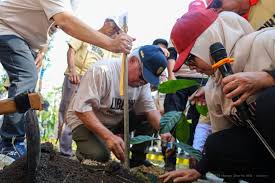 Kepala Otorita IKN, Basuki Hadimuljono saat penanaman 1.010 bibit kopi Liberika di IKN, Kalimantan Timur, Jumat (10/10/2025). Dok. Media Indonesia. Kopi Liberika, Potensi Komoditas Kalimantan Lebih Cuan daripada Sawit