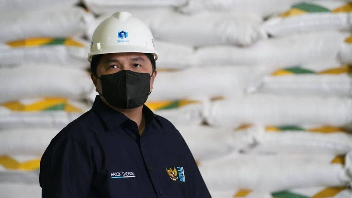 Menteri BUMN Resmikan Pabrik Pupuk Bioneensis Anak Usaha PTPN III di Banyuwangi