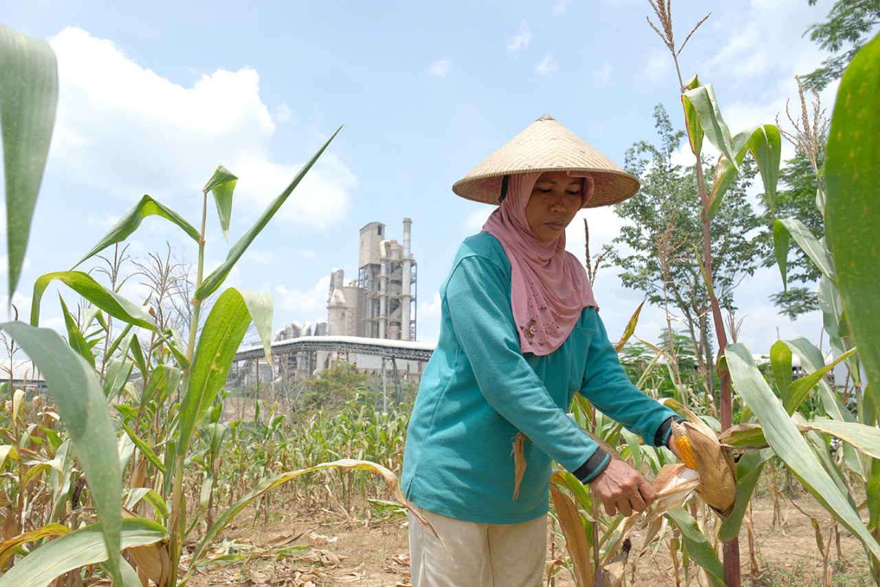 Semen Gresik Fasilitasi 361 Petani Sanggem Garap Lahan 119,25 Hektare di Rembang