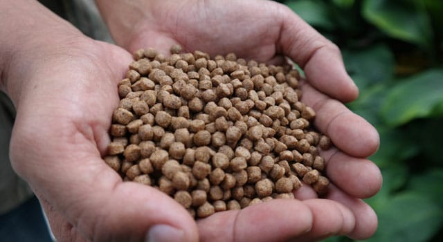 Pemerintah Targetkan PDB Sektor Perikanan Tumbuh Jadi USD7,66 Miliar di 2023
