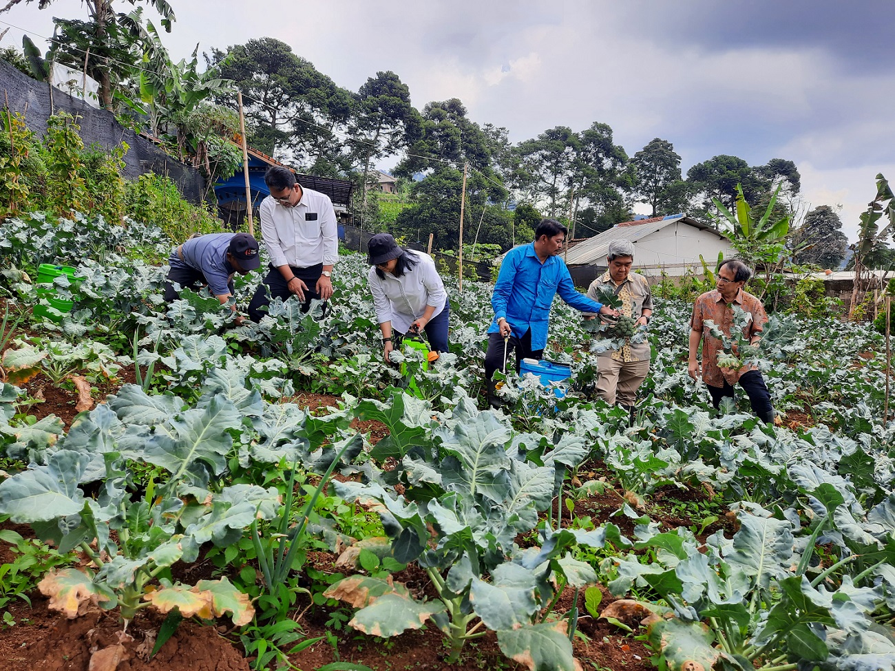 Kolaborasi Astra Melalui YDBA, PIP dan Kemenkeu Bina UMKM Pertanian Hortikultura