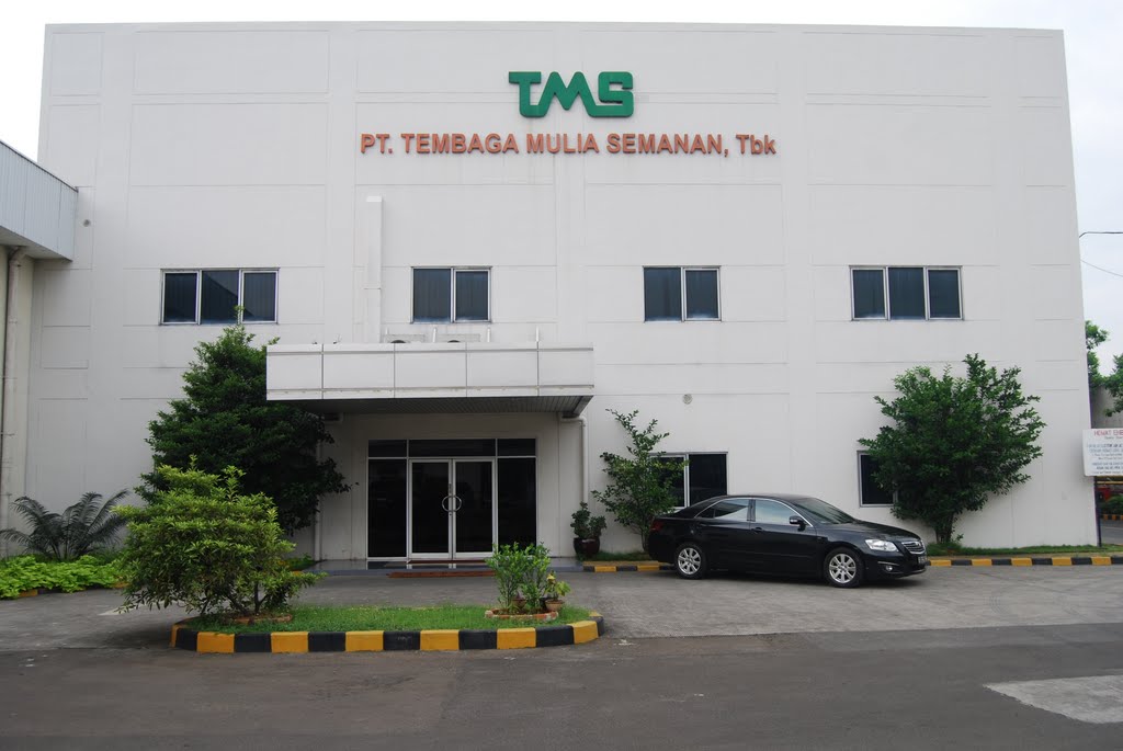 Tembaga Mulia (TBMS) Tabur Dividen USD1,46 Juta, Telusuri Jadwalnya
