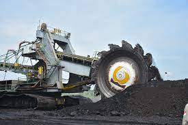 Bukit Asam (PTBA) Kembangkan Energi Biomassa dari Kaliandra Merah