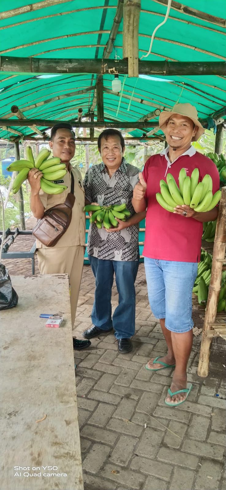Ini Kisah Sukses Petani Pisang Cavendish Binaan BRI (BBRI) di Pasuruan