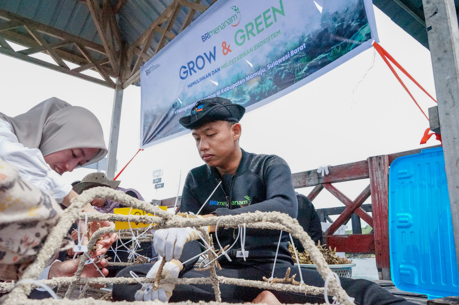 Tanam Grow & Green, BRI Kembangkan Potensi Wisata Daerah di Mamuju