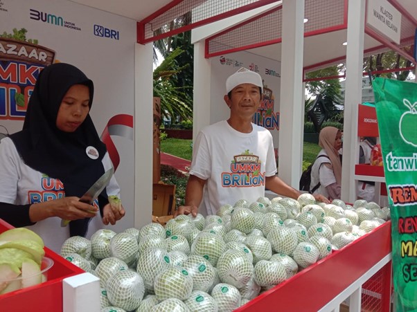 KUR BRI Dorong Kemajuan Klaster Jambu Kristal Yanto di Purworejo