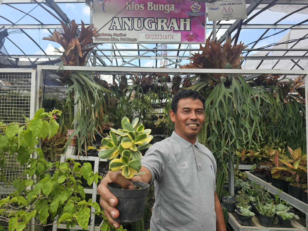 Menyusuri wilayah Kota Batu tidak hanya disuguhkan dengan pemandangan alam, kabut dan udaranya yang sejuk, tetapi juga perbukitan dan perkebunan milik warga. Binaan BRI Ini Ubah Hidup Warga Lewat Tanaman Hias