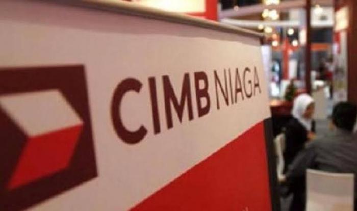 Penerbitan Obligasi Tidak Sesuai Ekspektasi, Berikut Alibi Bank CIMB Niaga (BNGA)