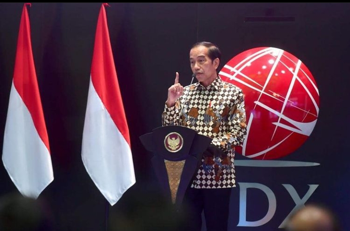 Terkait Larangan Ekspor Batubara, Ini Pandangan Jokowi